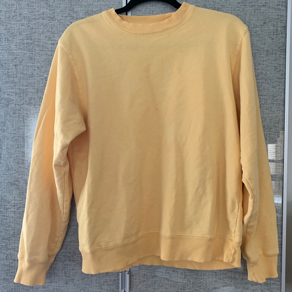 John Galt/Brandy Melville Sweater/Sweatshirt